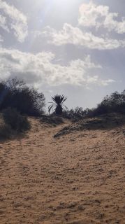 2023-GC-Dunas_Maspalomas-075.jpg